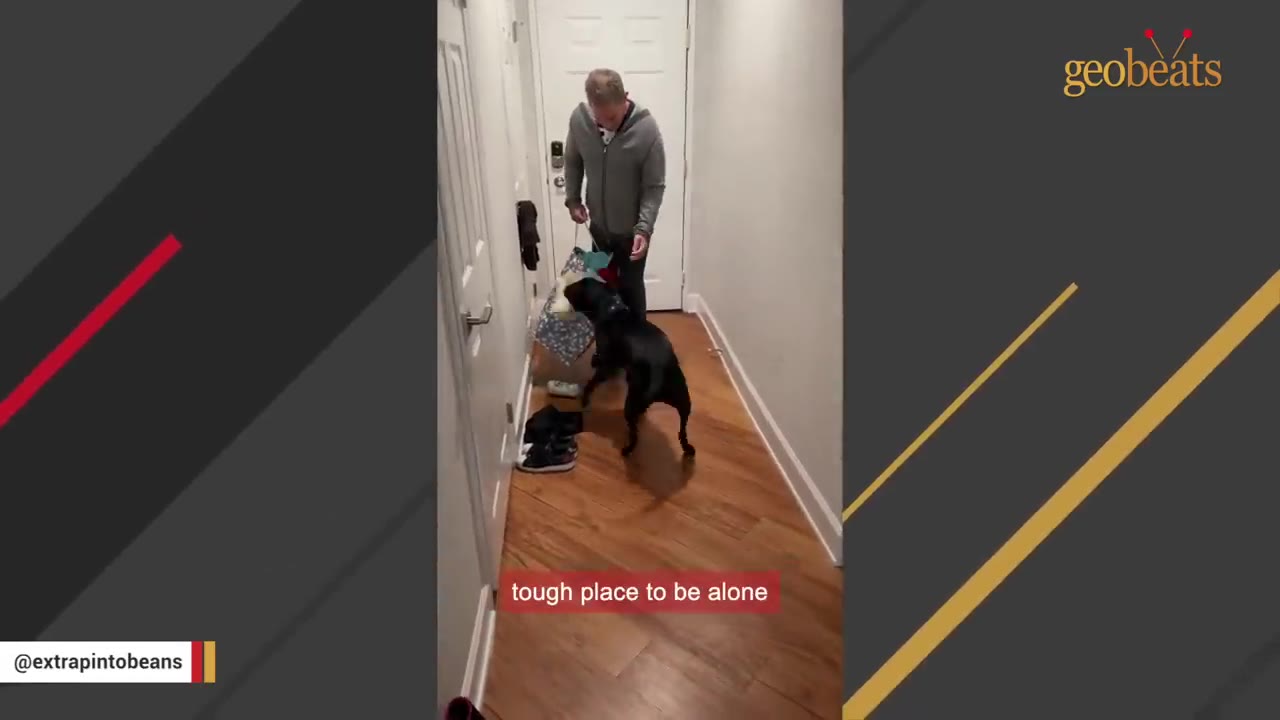 A black dog stands in a hallway next to a man holding a bag, with a text overlay that reads 'tough place to be alone'.