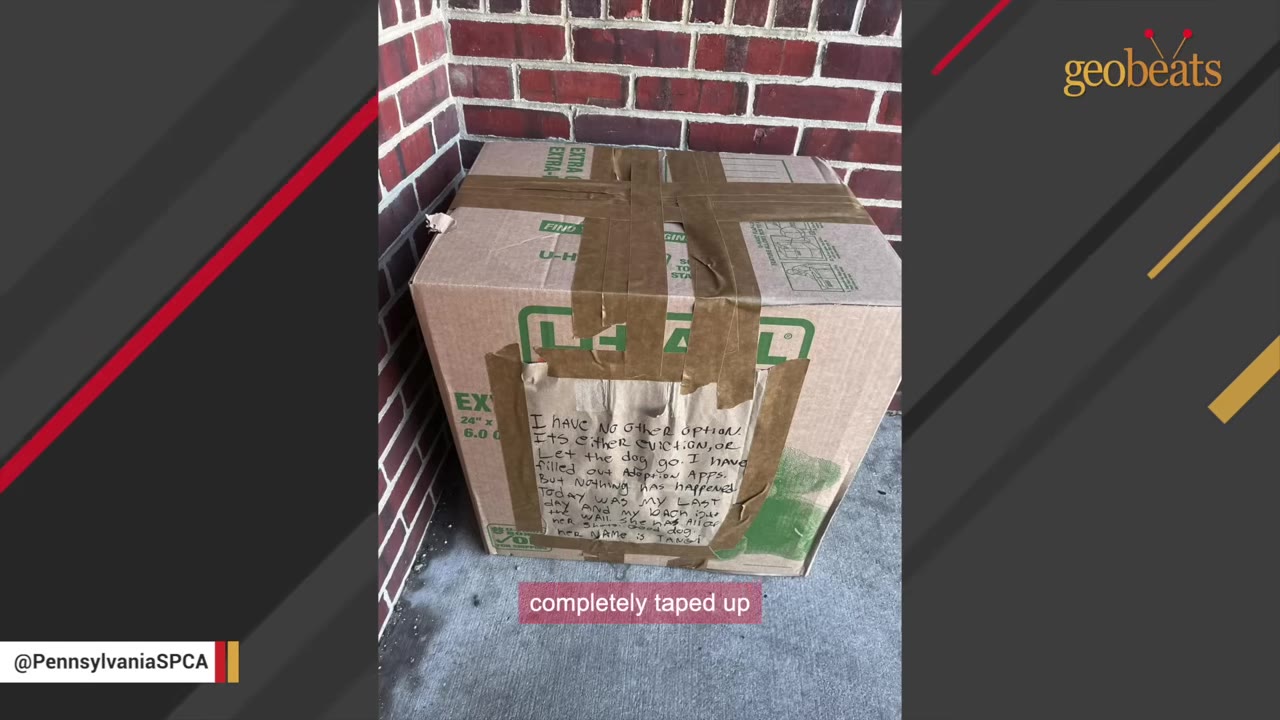 A cardboard box taped shut with a handwritten note taped to the front, sitting on the ground next to a brick wall.