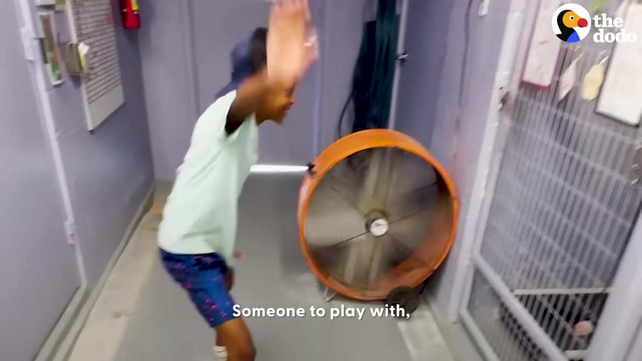 A young boy in a light green shirt and blue shorts waves his hand excitedly while walking down a hallway next to a large orange fan.
