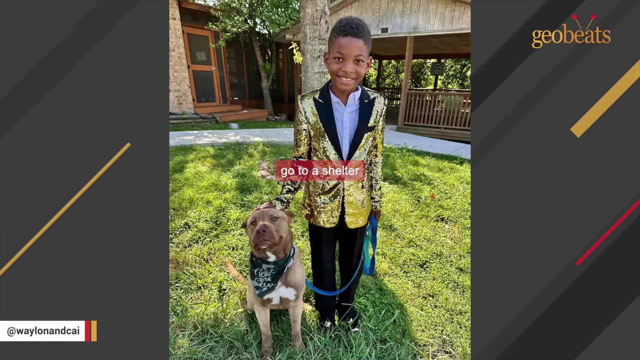 A smiling young boy in a gold sequin jacket stands on a grassy lawn next to a brown dog wearing a bandana.