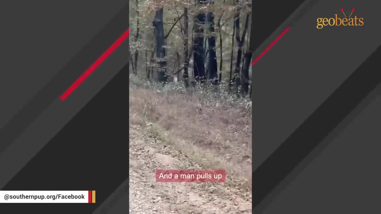 A view of a dirt road bordering a dense forest with a caption reading 'And a man pulls up'.