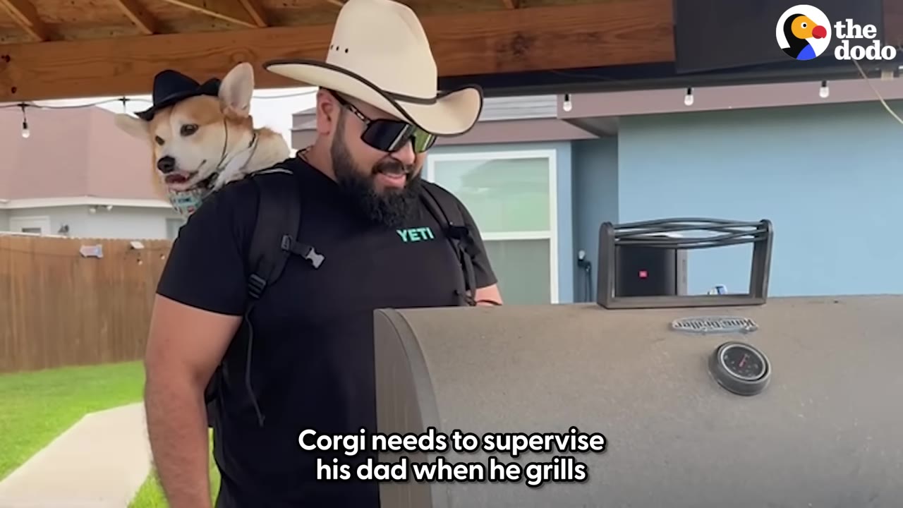 A man wearing a cowboy hat and sunglasses stands next to a backyard grill with a corgi wearing a black hat riding in a backpack on his back.