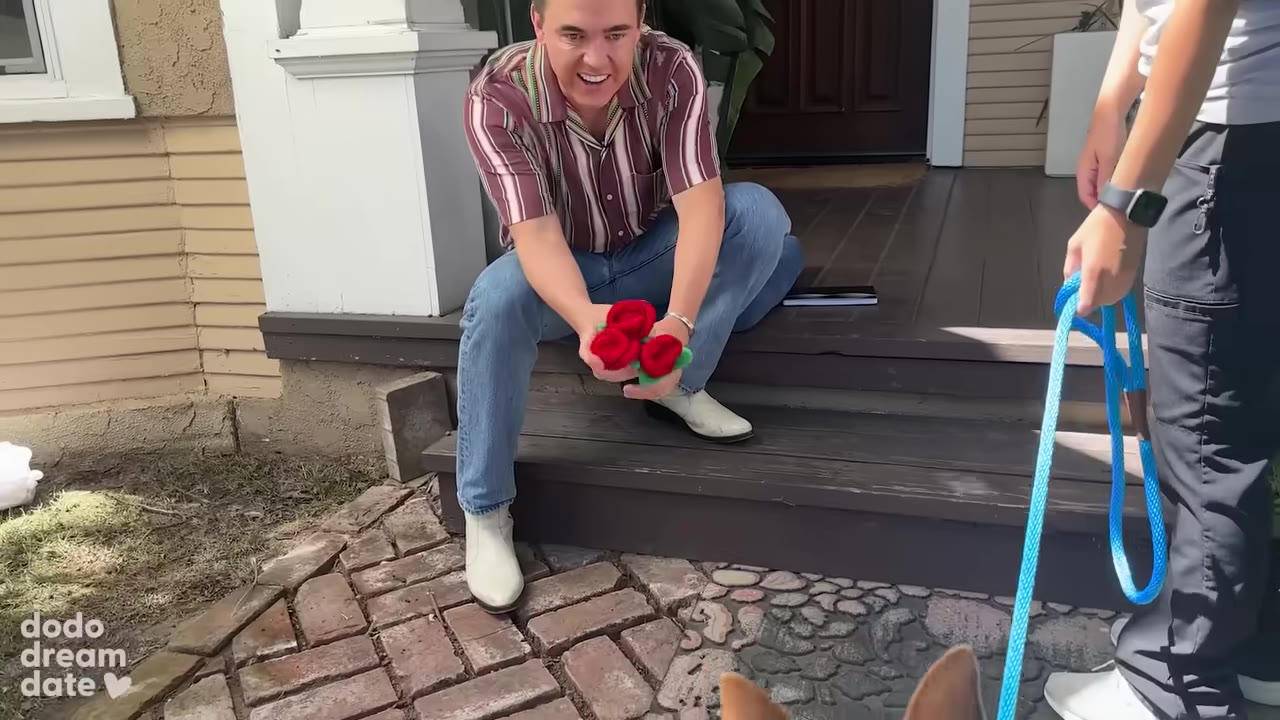 A man sits on wooden porch steps holding a bouquet of red toy roses, smiling as a dog on a blue leash is led toward him.