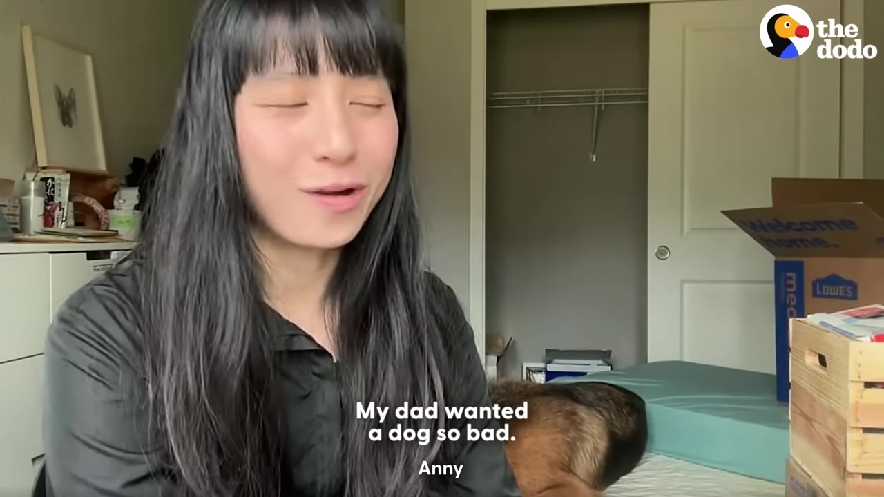 A woman with long black hair and bangs speaks to the camera in a room with moving boxes, with the subtitle 'My dad wanted a dog so bad.'