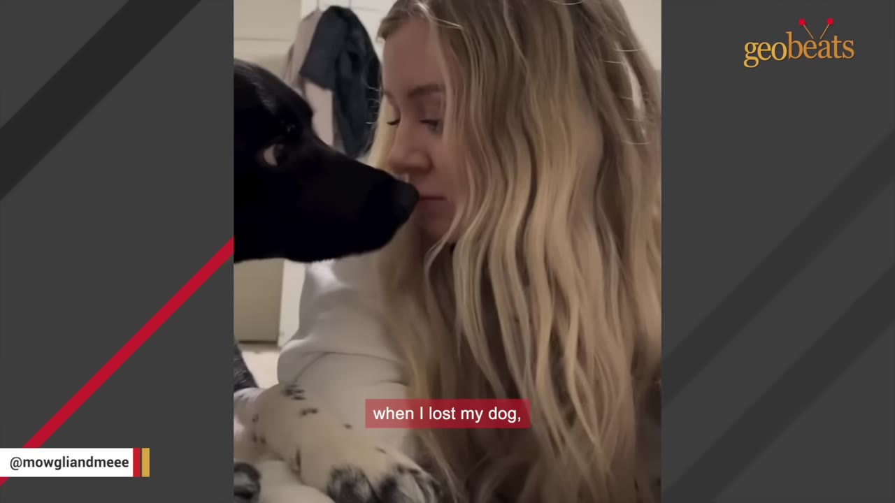 A close-up of a blonde woman looking sadly at a black dog with white paws, with a subtitle reading 'when I lost my dog,'.