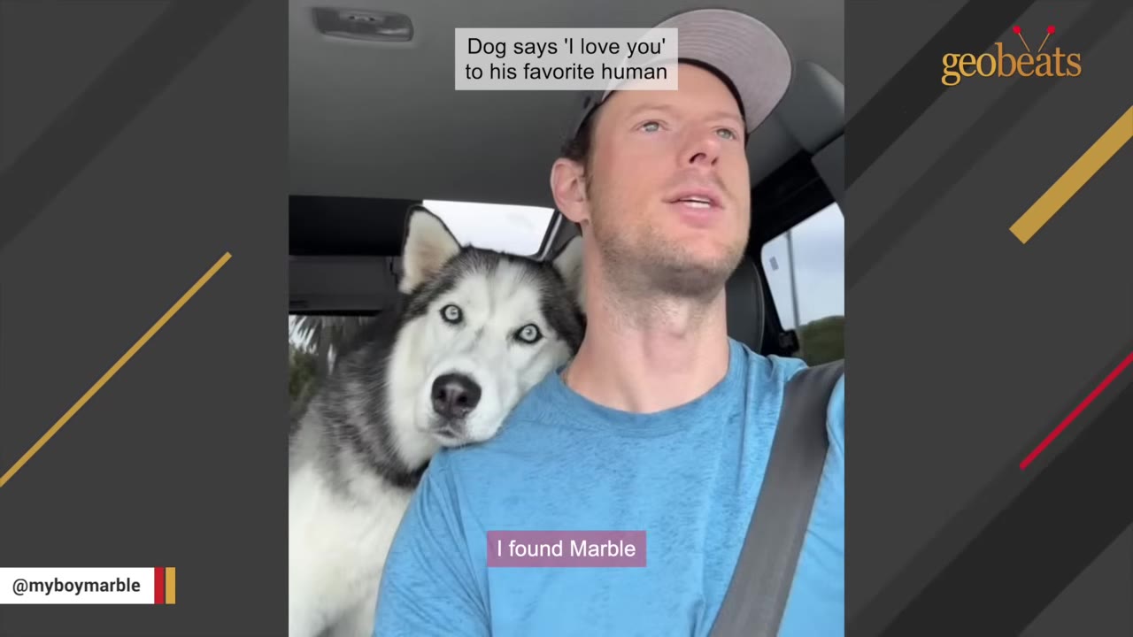 A Siberian Husky named Marble rests his head affectionately on the shoulder of his owner, Ian, who is sitting in the driver's seat of a car.