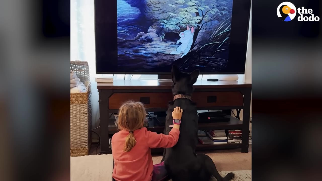 A young girl in a pink shirt sits on the floor next to a black dog, with her hand on its back, as they both watch an animated rabbit on a television screen.
