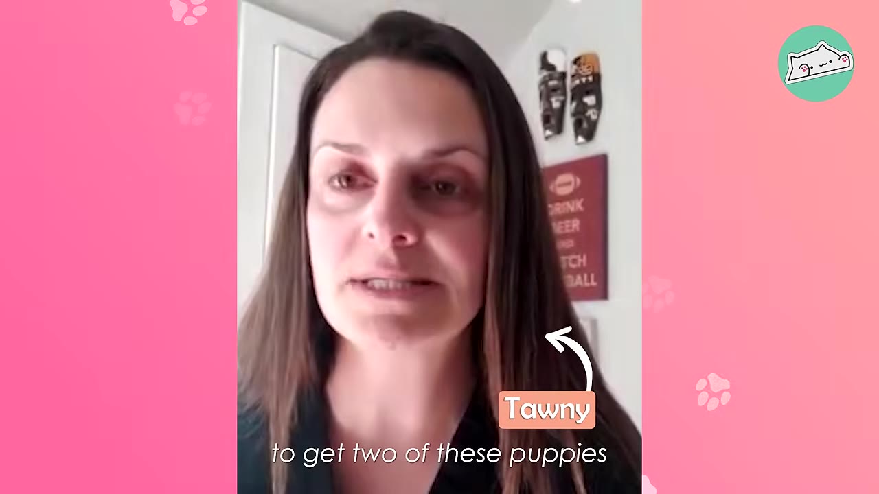 A close-up of a woman named Tawny speaking, with a text overlay that reads 'to get two of these puppies' and a label pointing to her.