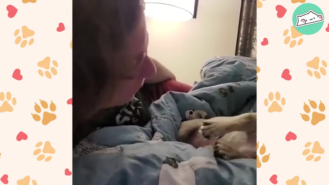 A woman lies in bed looking down at a small dog nestled under a blue blanket.