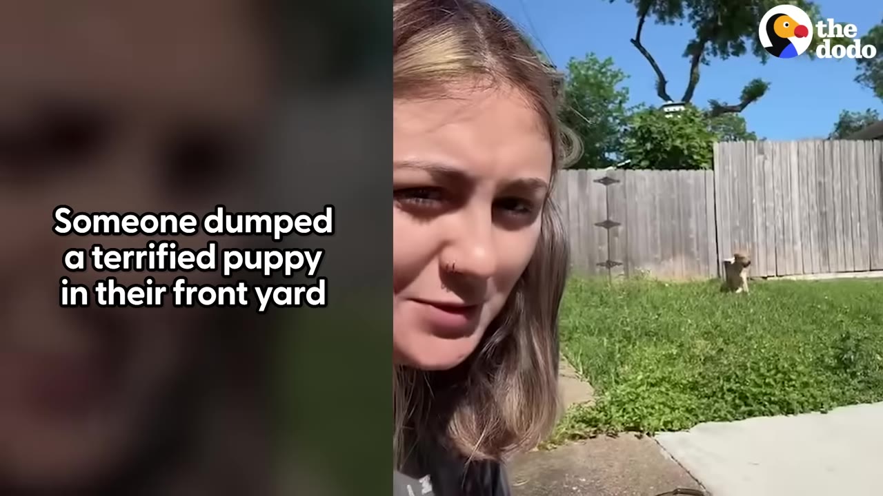 A young woman looks towards the camera with a small puppy standing in the grassy yard behind her near a wooden fence.