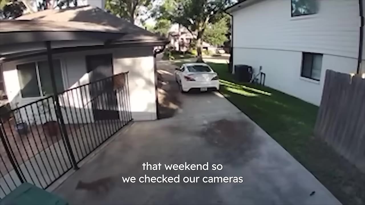 A daytime security camera view of a residential driveway with a white car parked between two houses.