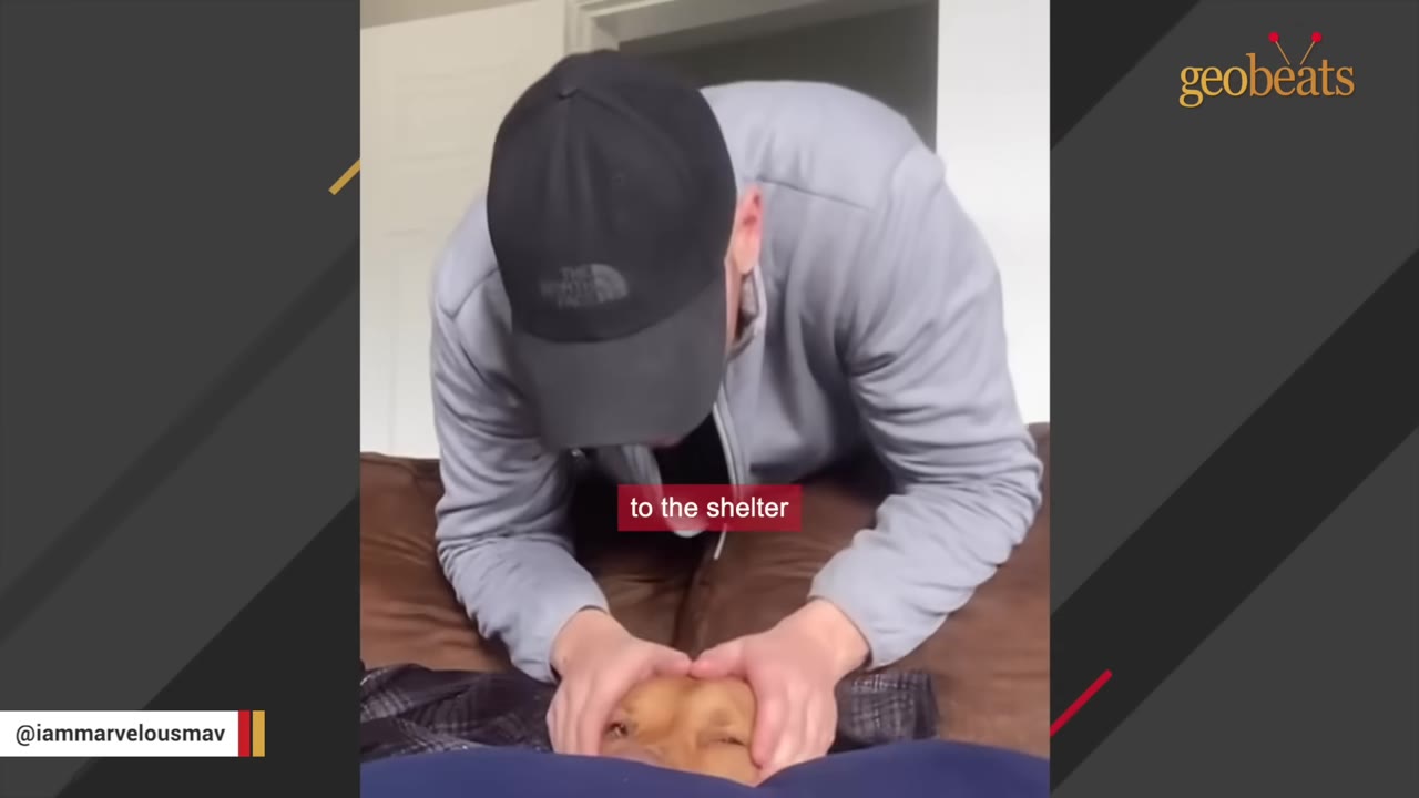 A man wearing a black baseball cap and a grey jacket leans over a brown dog, gently holding its head with both hands.