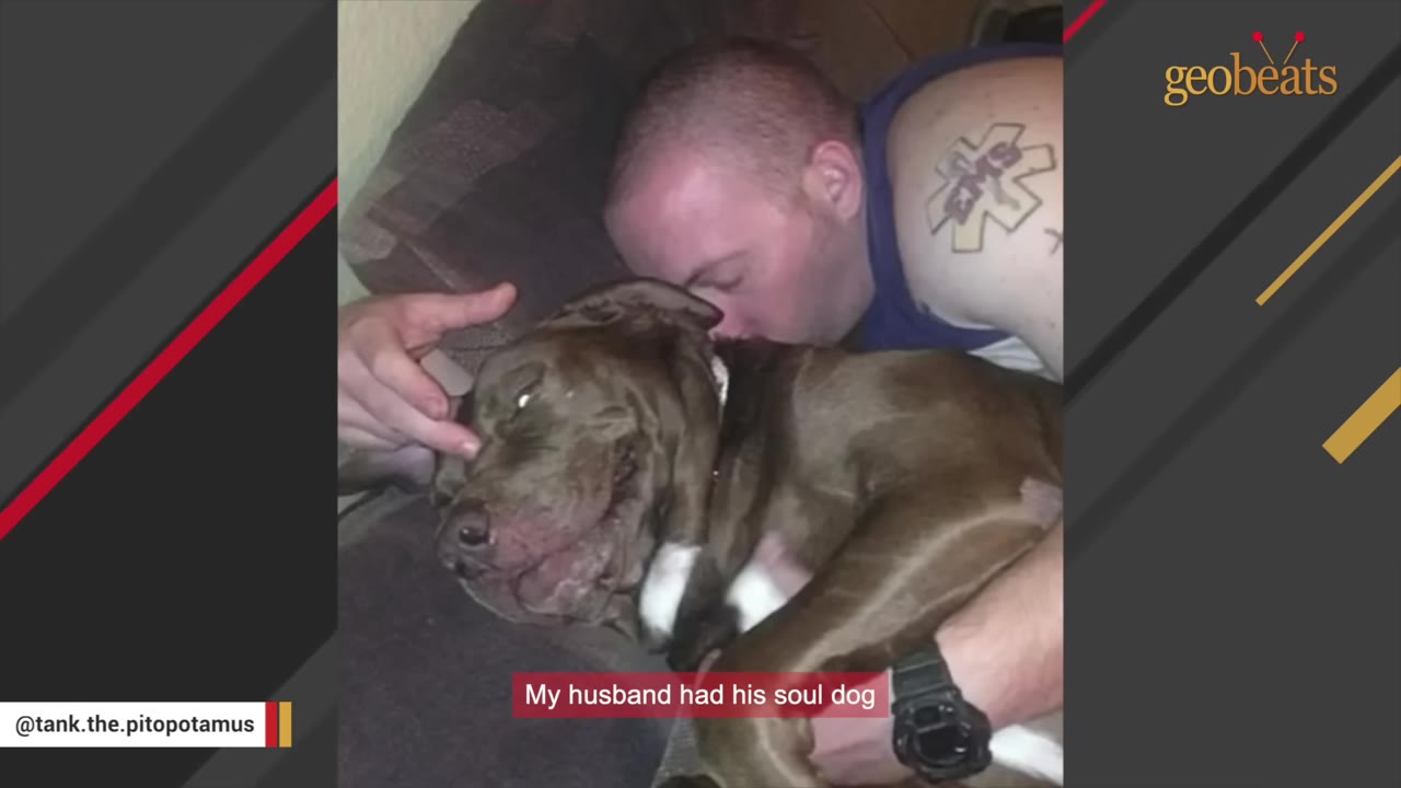 A man with a tattoo on his shoulder tenderly embraces and kisses his brown dog as they lie together on a couch.