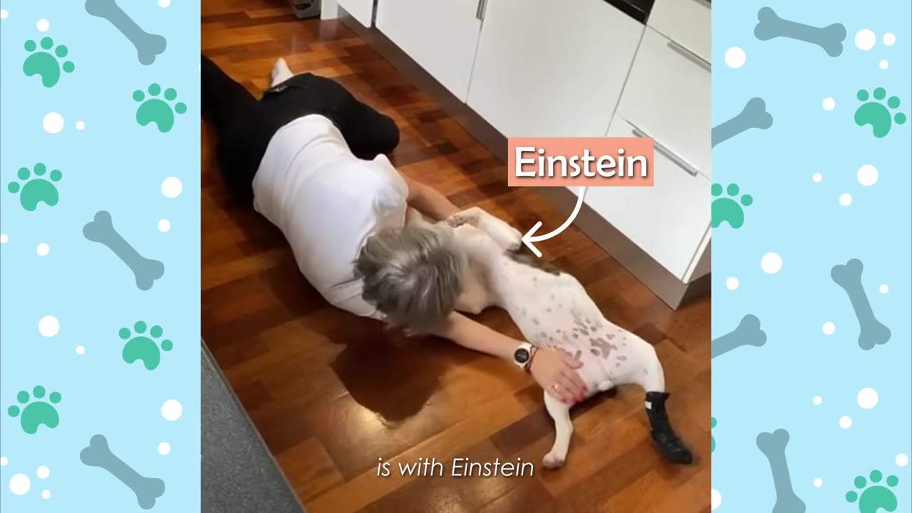 An older woman with short grey hair lies on a wooden floor next to a white dog with black spots named Einstein.
