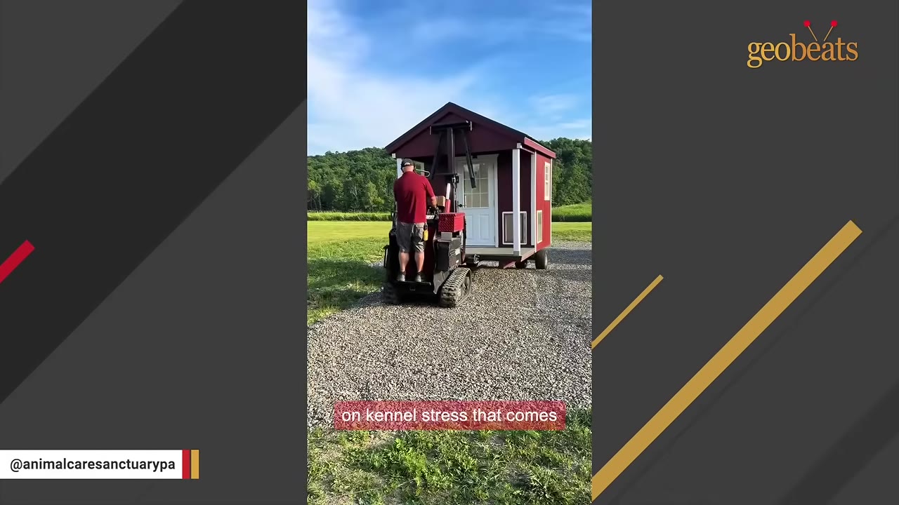 A man operating a small forklift to transport a red and white miniature cabin on a gravel path.