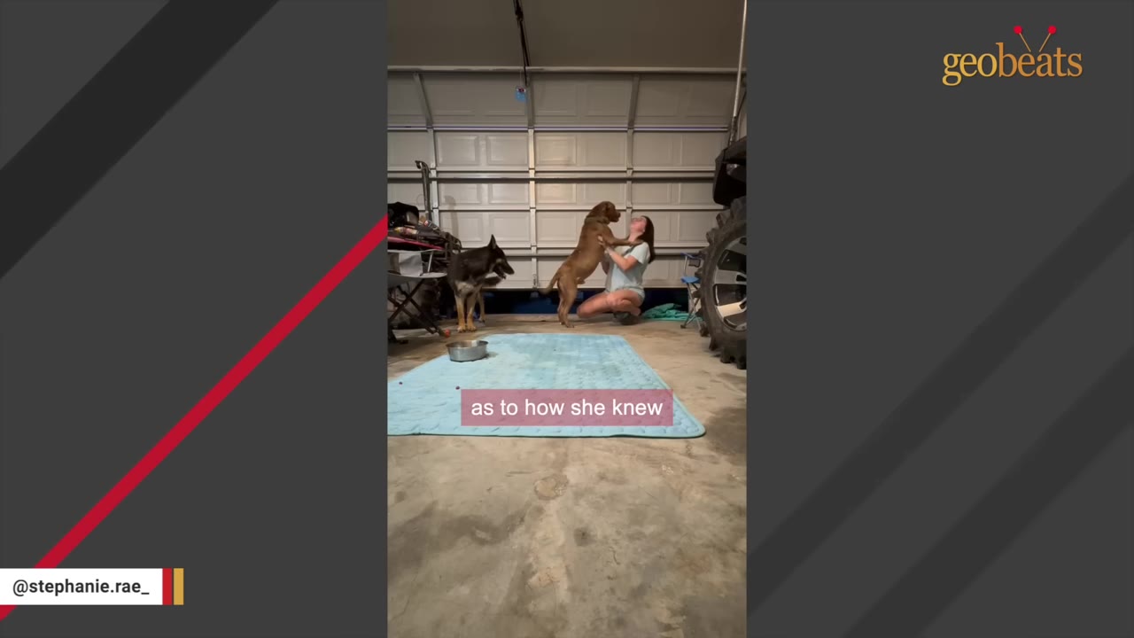 A woman kneels in a garage, hugging a brown dog standing on its hind legs, while a black and tan dog stands nearby watching them.