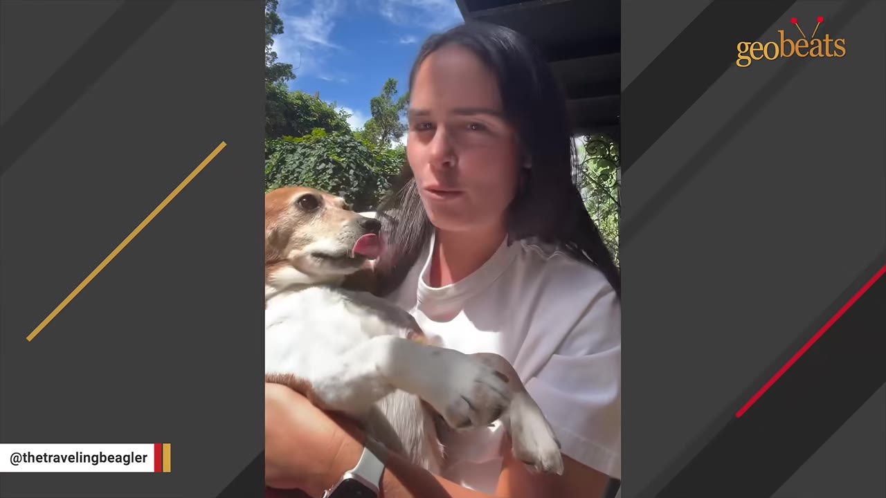 A woman holding a beagle dog in her arms outdoors under a blue sky.