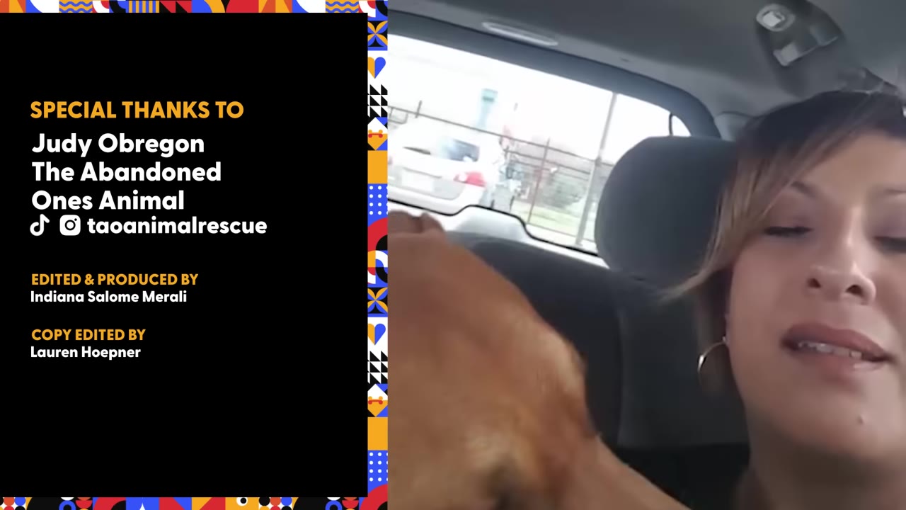 A close-up of a woman in a car gently petting a brown dog's head.