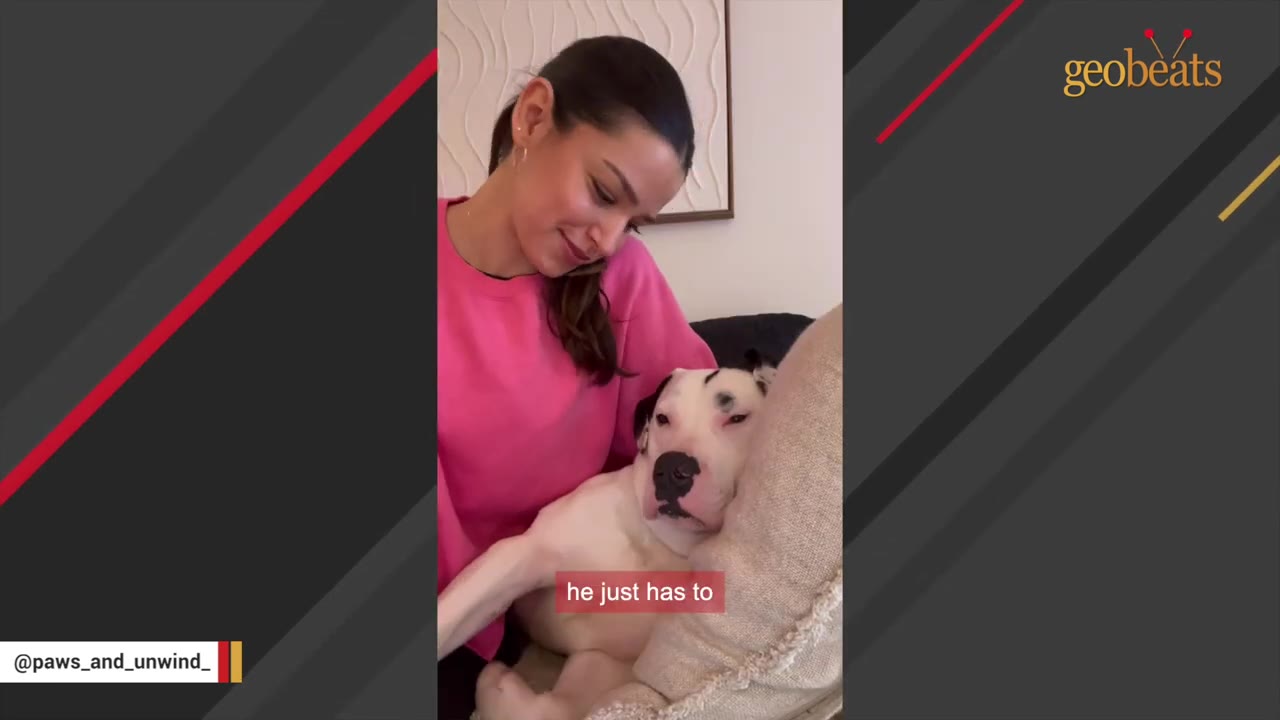 A woman in a pink sweatshirt looks down affectionately at a white dog resting its head on a pillow beside her.