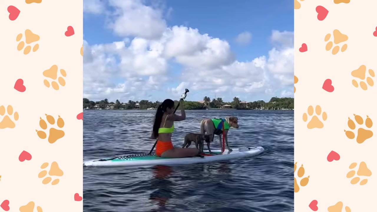 A woman in a bright swimsuit sits on a paddleboard on the water with two dogs, holding a paddle under a blue sky with fluffy white clouds.