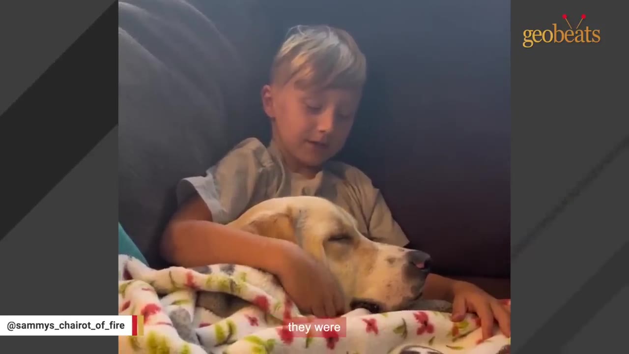 A young boy with blonde hair sits on a couch, gently holding and cuddling a sleeping light-colored dog wrapped in a patterned blanket.