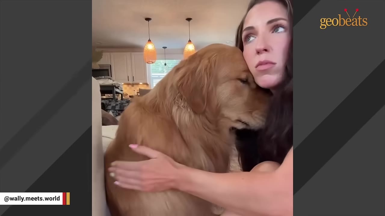 A golden retriever leans its head affectionately against a woman's cheek as she holds him close.