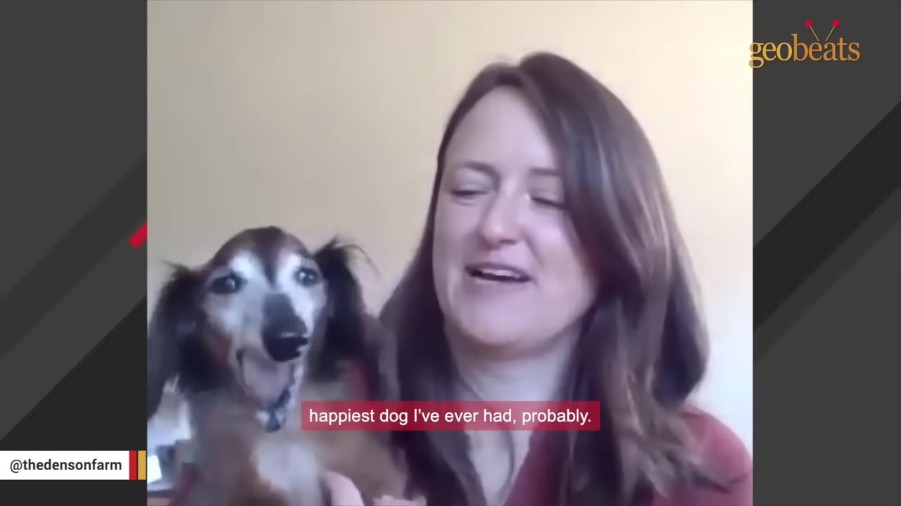 A smiling woman holds a long-haired dachshund with its mouth open in a happy expression.