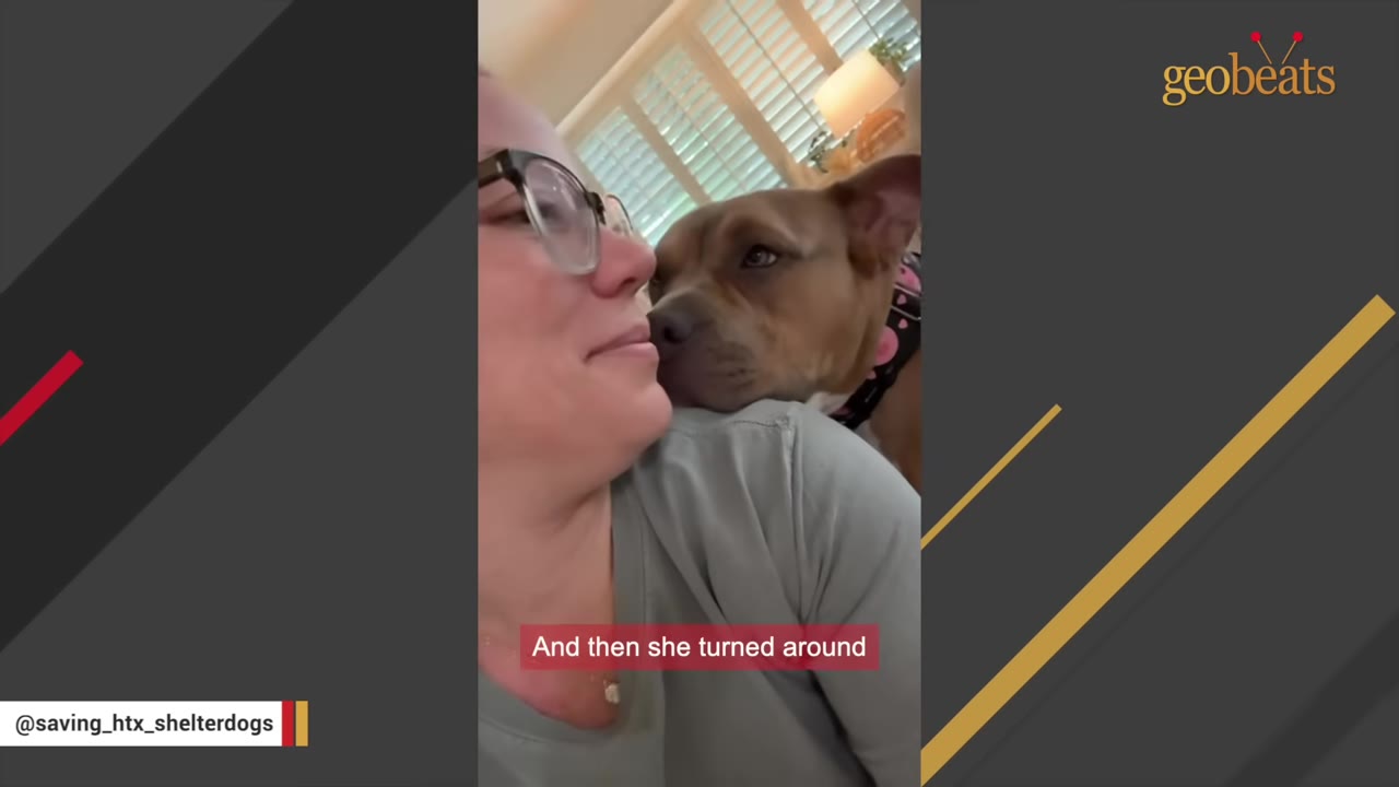 A brown dog rests its chin on a woman's shoulder, looking up at her face affectionately.