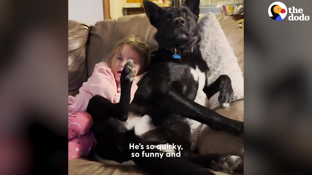 A black dog sits upright on a brown leather couch next to a young girl in a pink sweatshirt, both looking forward as if watching a screen.