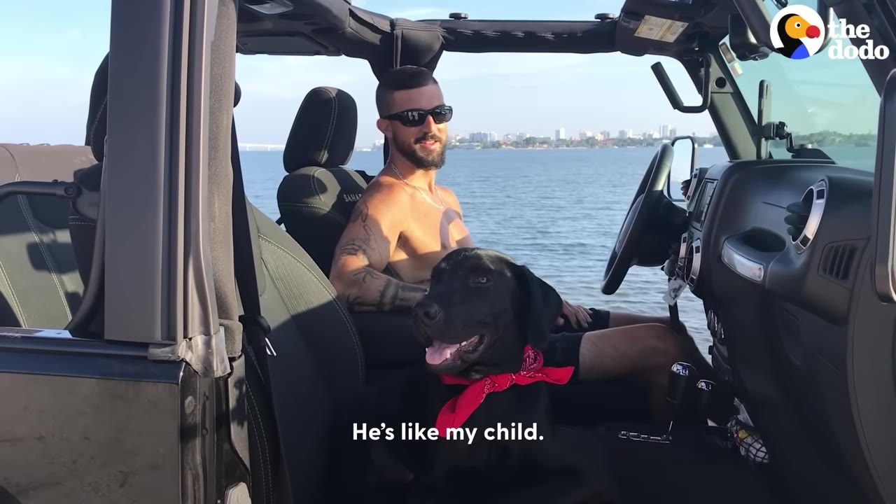 A man wearing sunglasses sits in the driver's seat of an open-top Jeep with a black dog wearing a red bandana sitting in the passenger seat next to him, with water in the background.