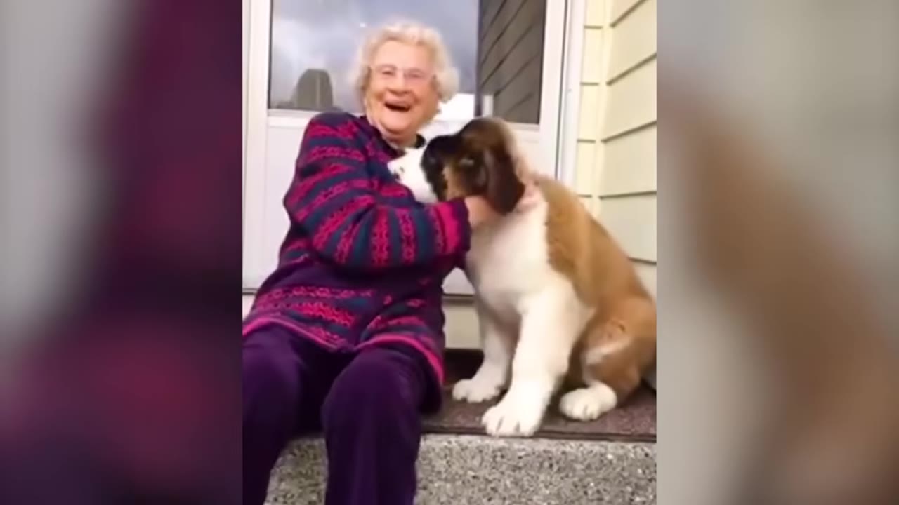 An elderly woman with short white hair sits on a porch step, smiling warmly as she hugs a Saint Bernard puppy sitting next to her.