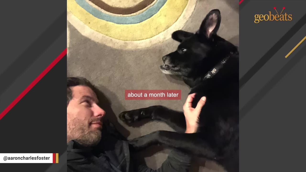 A man lies on a carpeted floor looking affectionately at a black dog lying beside him.