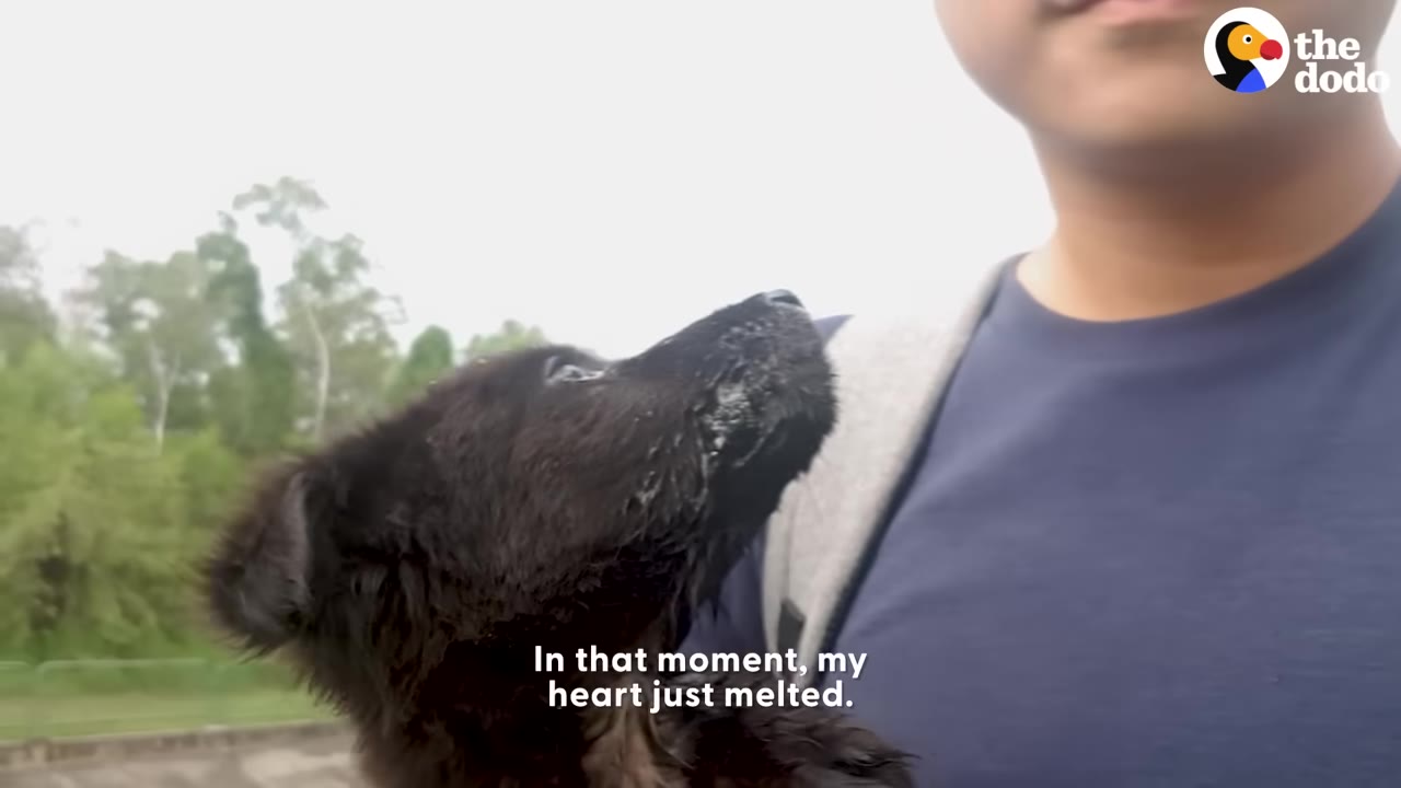 A small black puppy looks up with wide eyes at the man holding her.