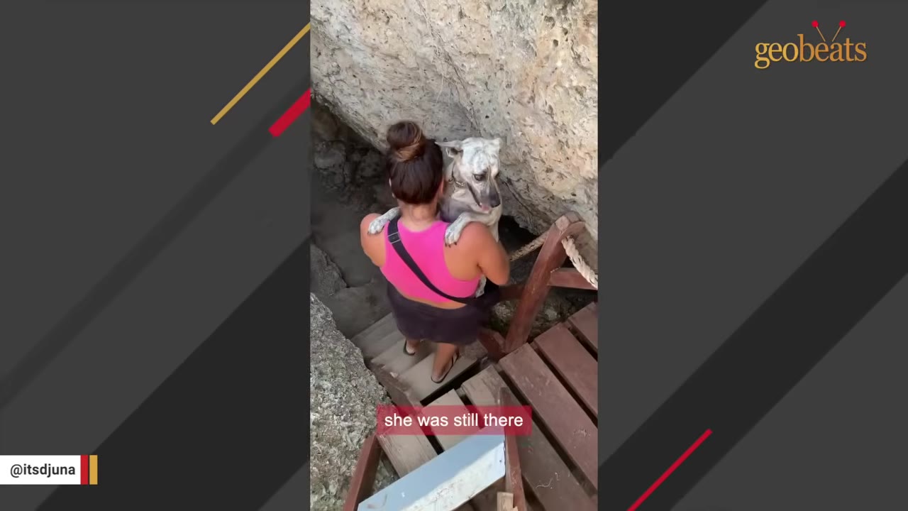 A woman in a pink top carrying a brindle dog on her shoulders as she walks down wooden steps in a rocky cave-like area.