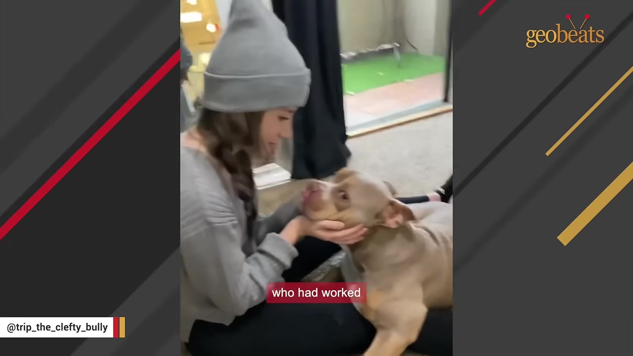 A woman wearing a grey beanie sits on the floor and gently cradles the head of a brown and white dog with a cleft palate.