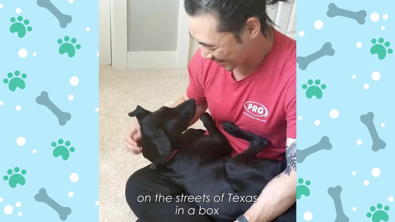 A man in a red shirt smiles as he cradles a small black dog in his lap.