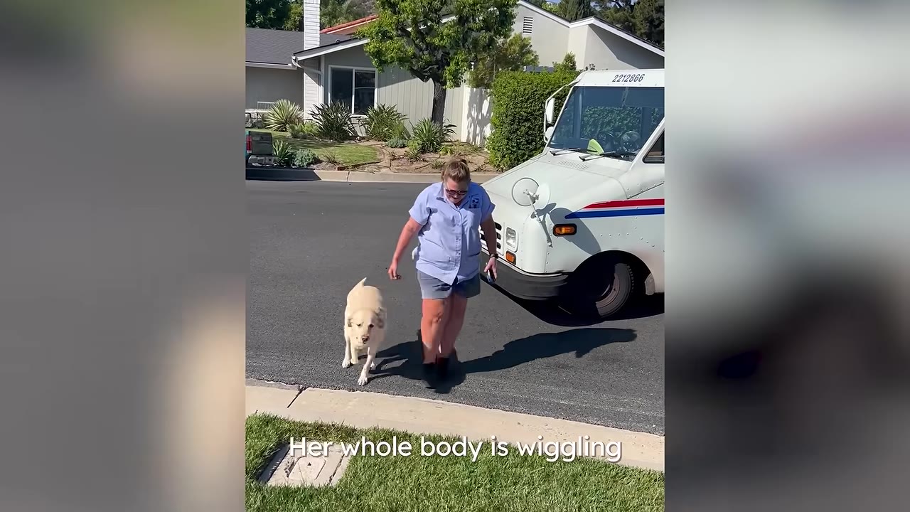 A yellow dog walks happily next to a female mail carrier in a blue uniform on a paved street next to a mail truck.