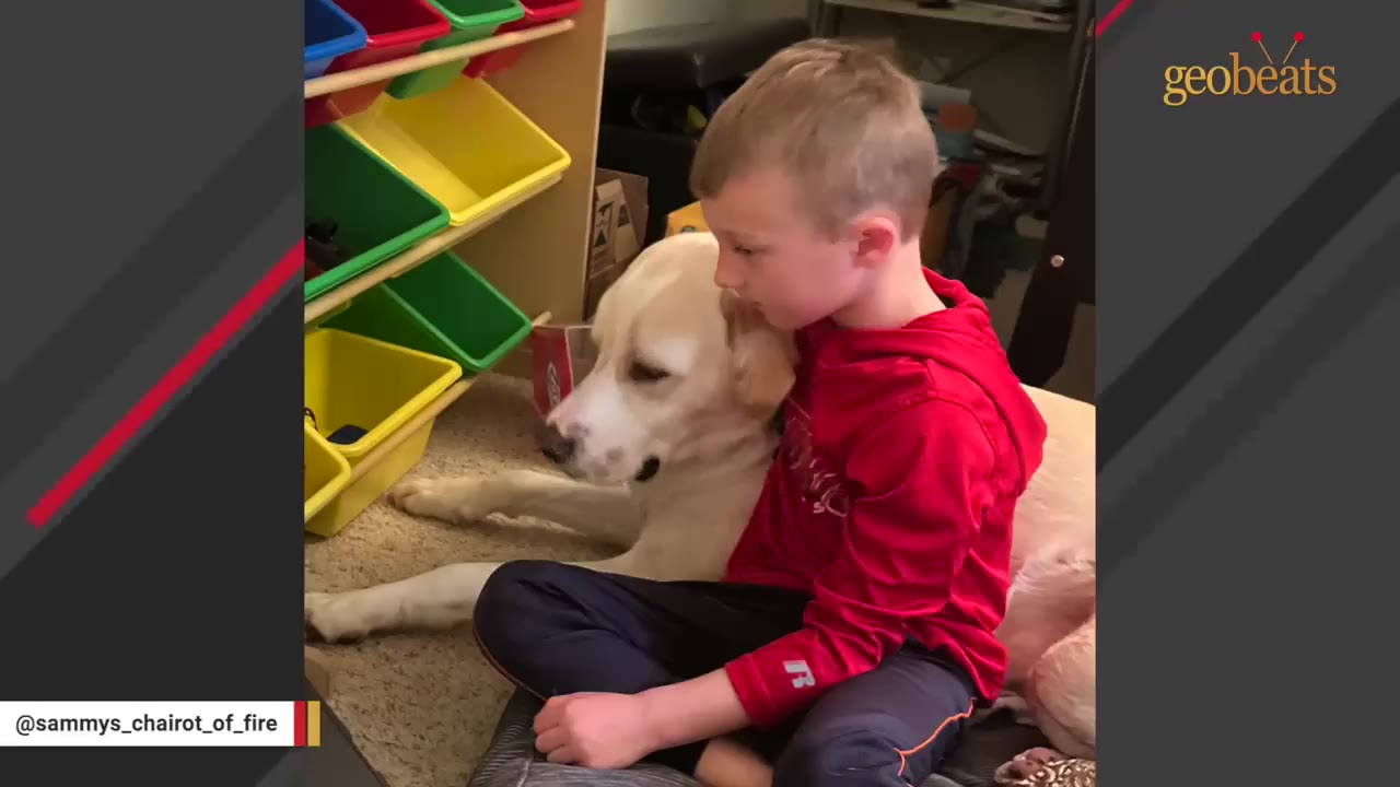 A young boy in a red sweatshirt sits on the floor hugging a light-colored dog next to a toy storage rack with colorful bins.