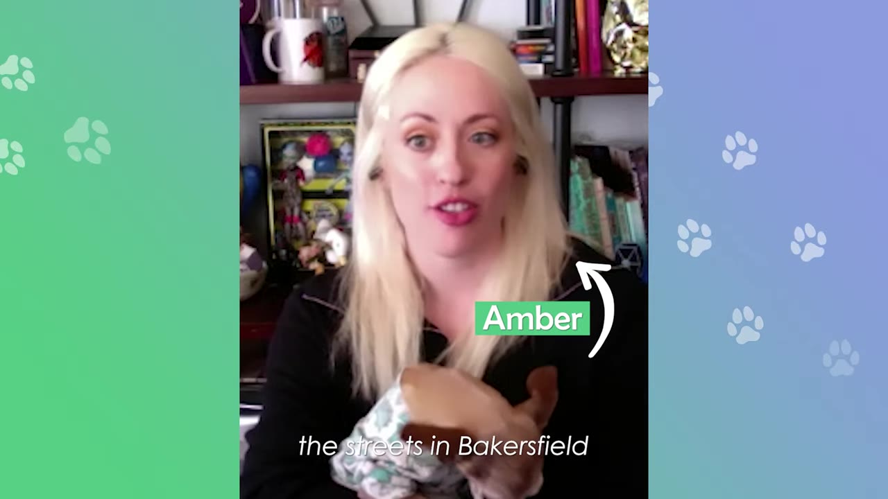A woman named Amber with blonde hair holds a small brown dog in her arms, with text on screen reading 'the streets in Bakersfield'.