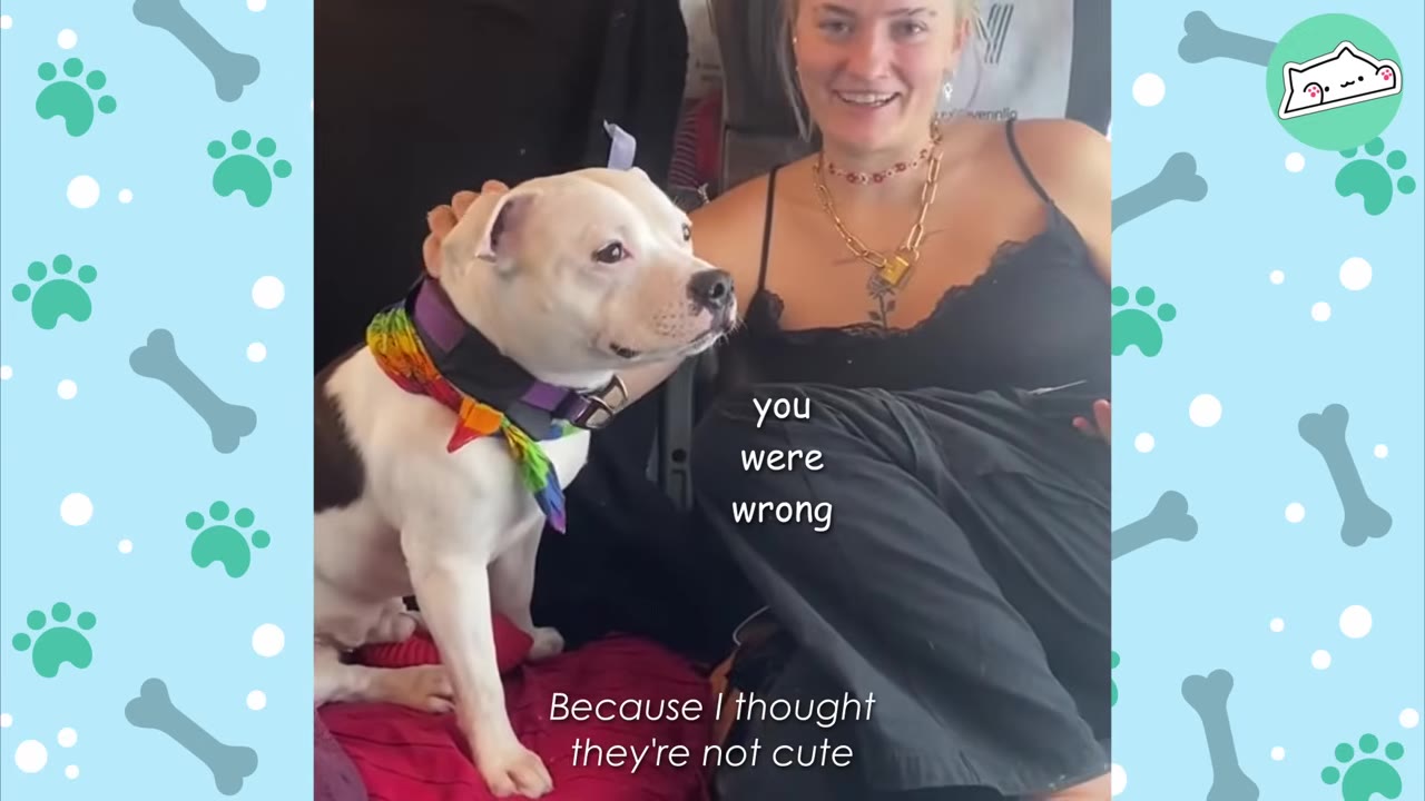A woman smiles next to a white dog wearing a colorful collar, with text on screen reading 'Because I thought they're not cute' and 'you were wrong'.