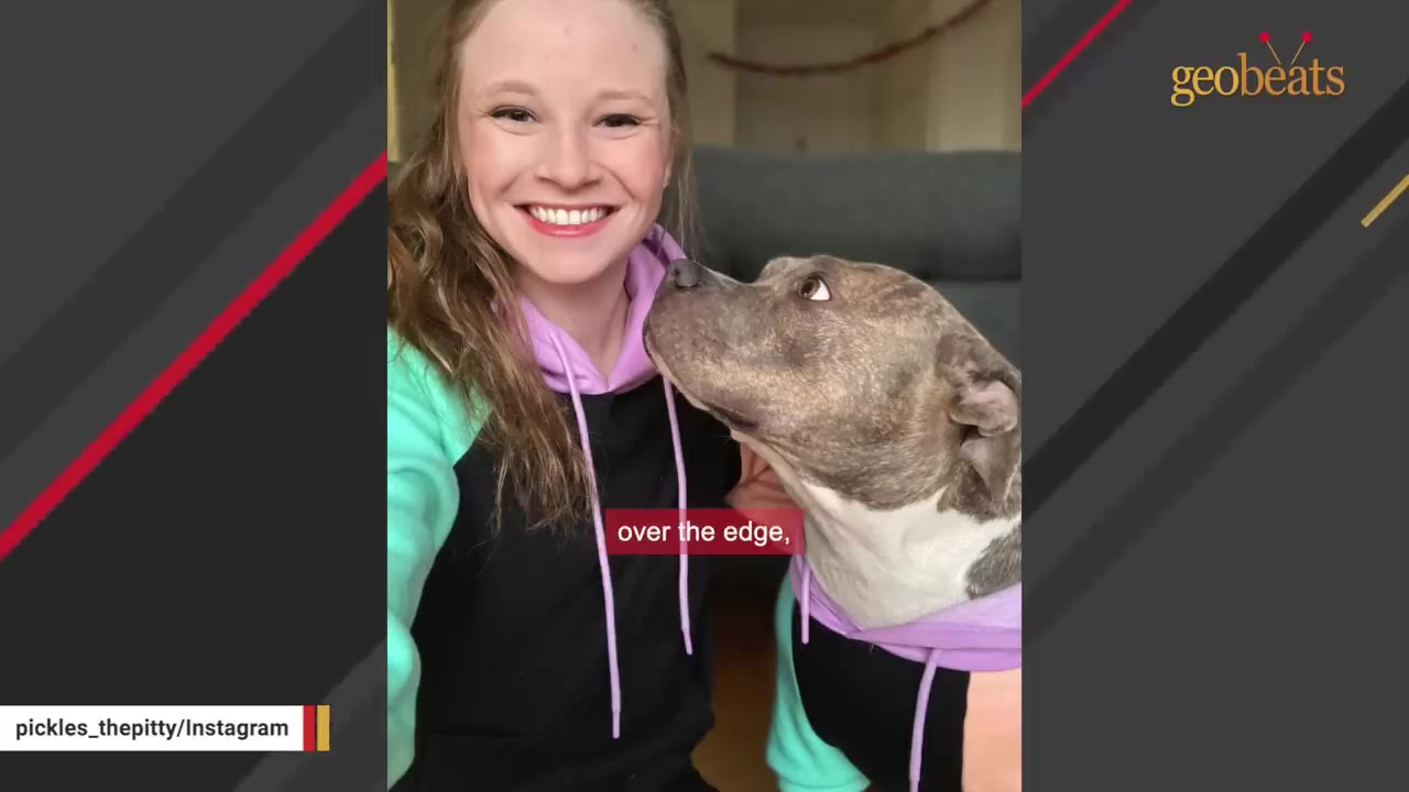 A smiling woman with long brown hair stands next to a grey pit bull dog wearing a matching black, green, and purple hoodie, as the dog looks up at her.