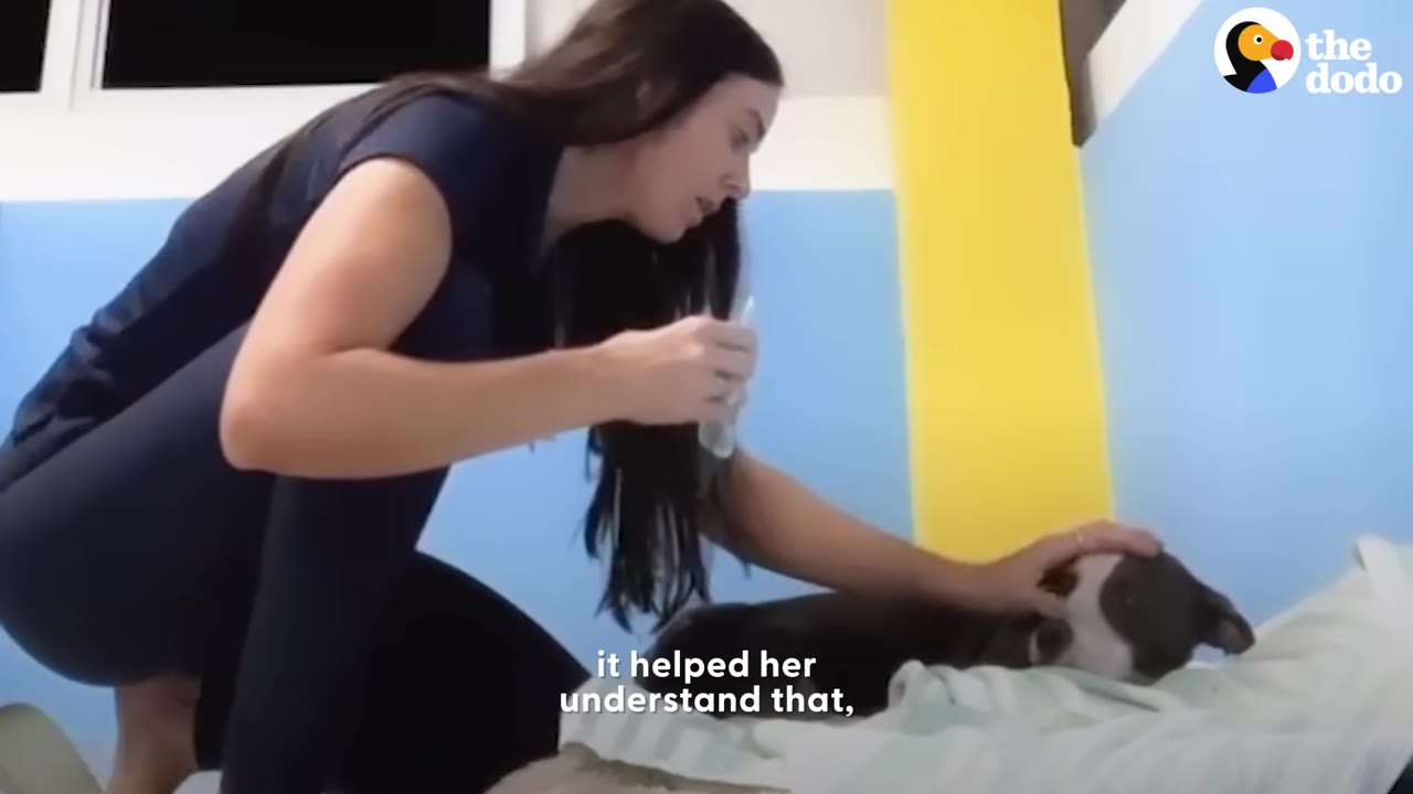 A woman with long dark hair kneels beside a dark-colored dog lying on a light-colored blanket, gently petting the dog's head.