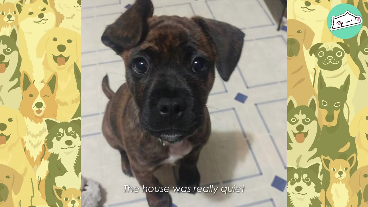 A close-up shot of a brindle puppy with one floppy ear and one folded ear, sitting on a tiled floor with the text 'The house was really quiet' overlaid at the bottom.