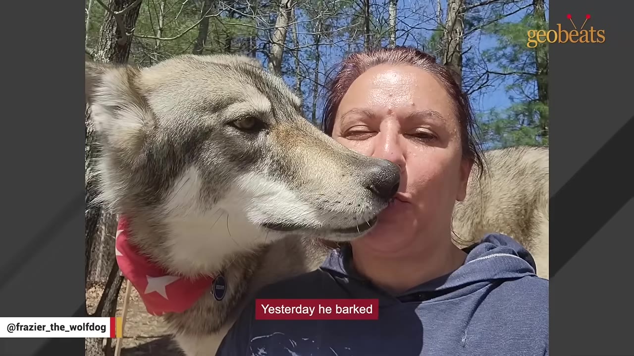 A close-up shot of a woman with a wolfdog nuzzling her face outdoors.