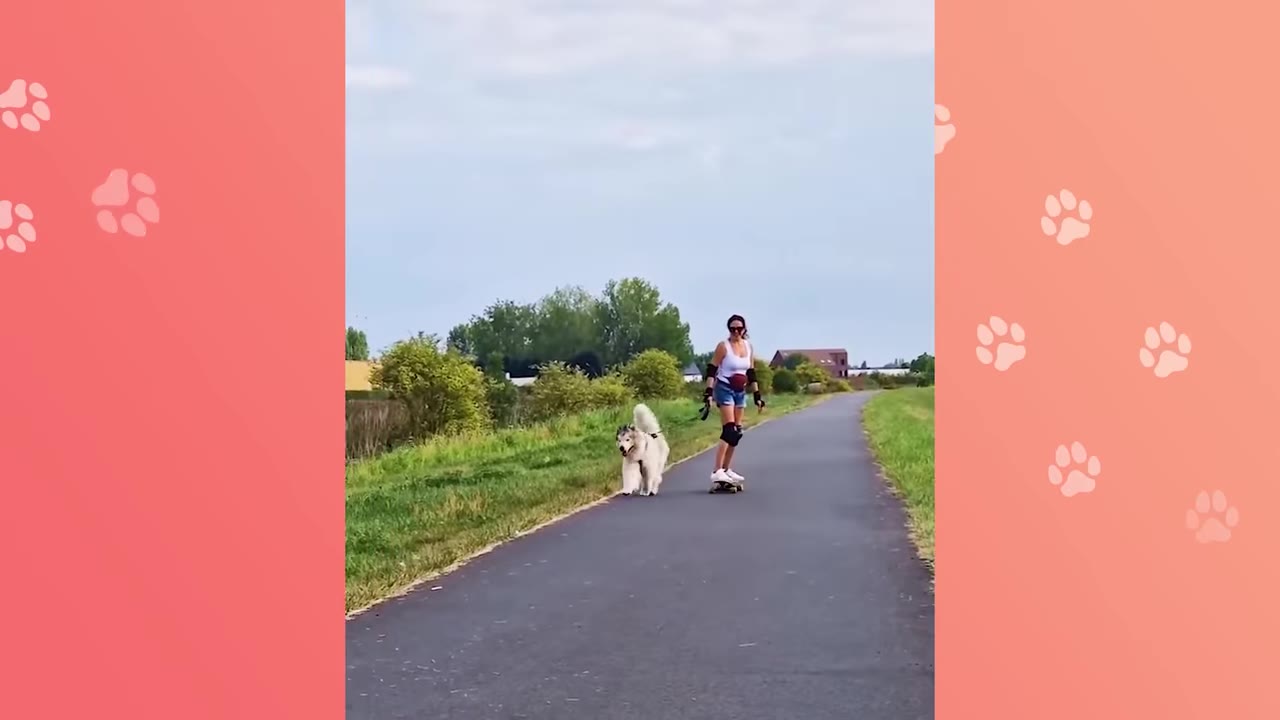 A fluffy white dog runs confidently alongside a woman riding a skateboard on a paved path.