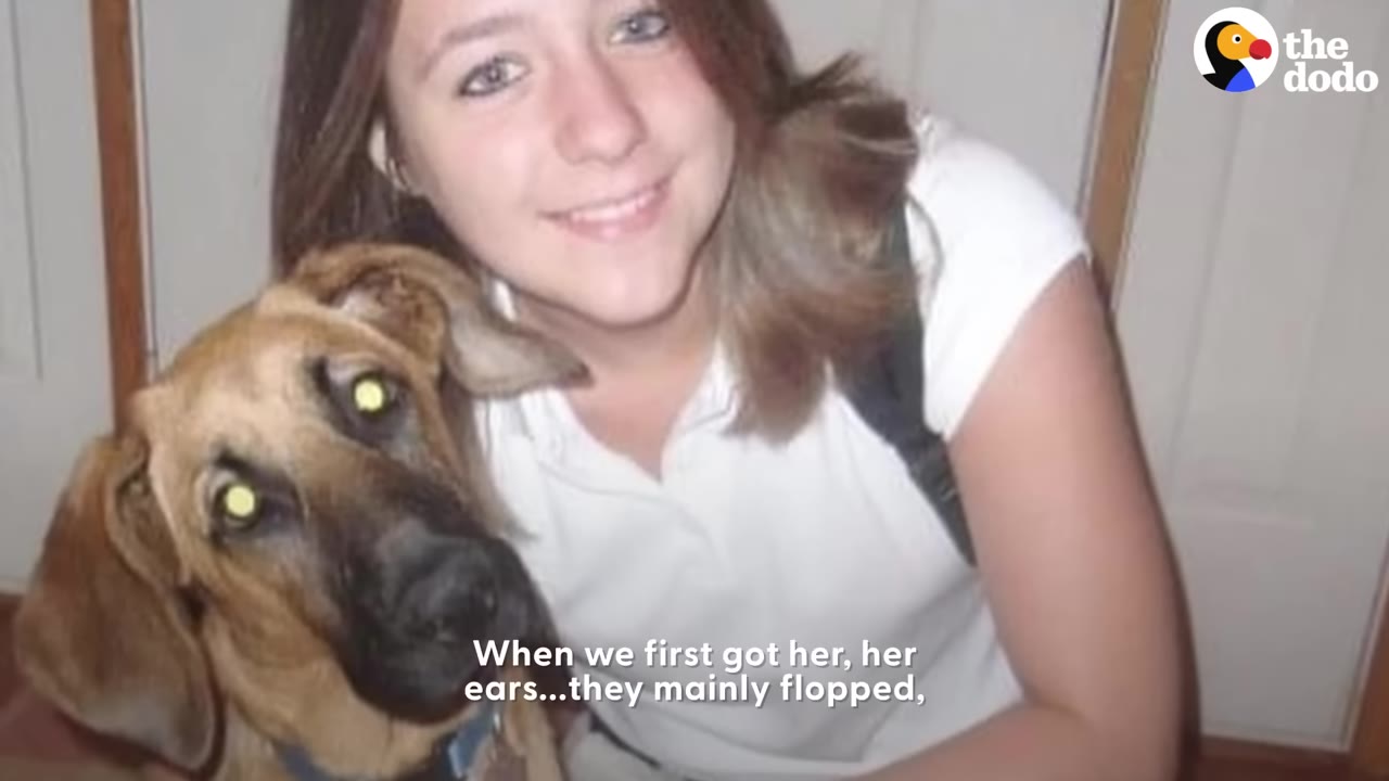 A young teenage girl with brown hair smiles next to a young brown dog with floppy ears.