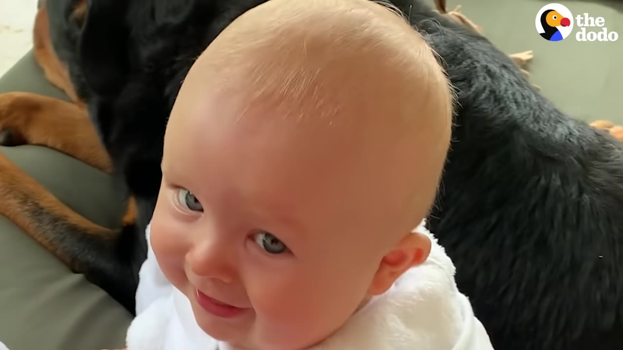 A close-up of a smiling baby with a Rottweiler dog resting behind her.