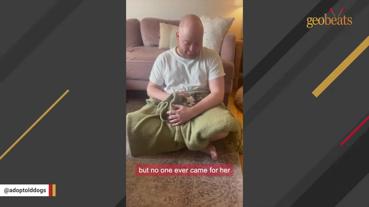 A man sits on the floor with his legs crossed, holding a small chihuahua wrapped in a green blanket, with a caption that reads 'but no one ever came for her'.