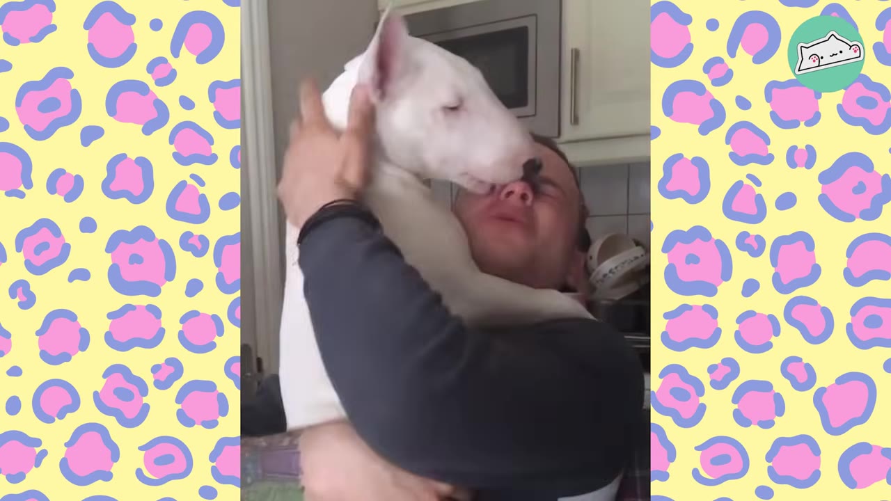 A white Bull Terrier puppy being held in the arms of a man, gently licking his nose.