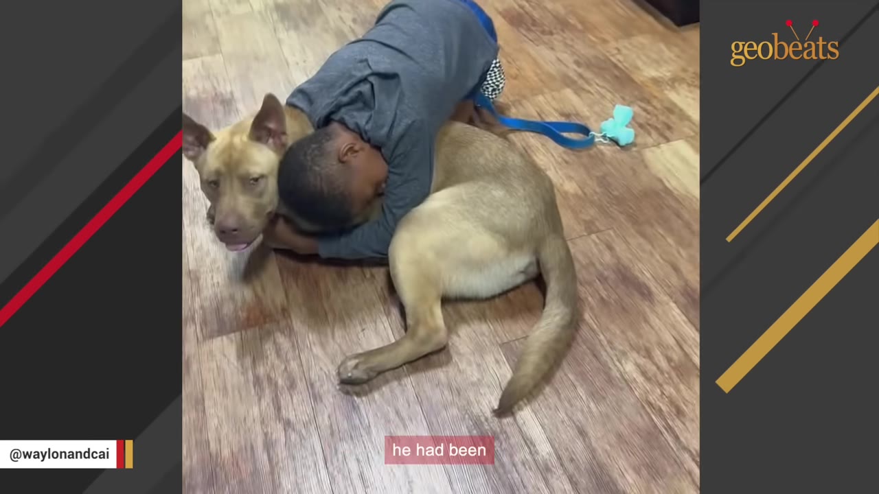 A young boy hugging a tan dog tightly while lying on a wooden floor.